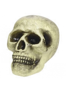 item1